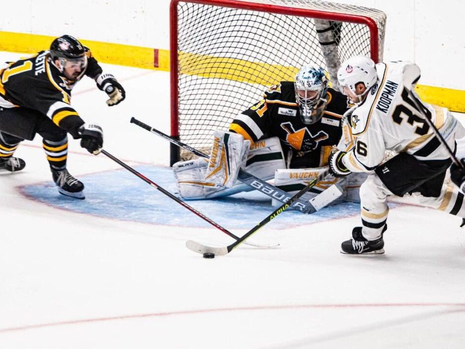 Wheeling Nailers Announce 2024 Training Camp Roster & Schedule