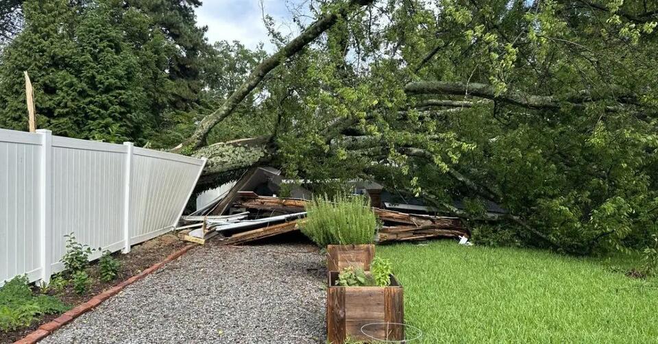 Who’s Responsible for Cleaning Up When a Tree From Your Yard Lands in a ...