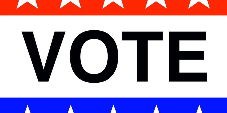 Voter turnout of around 27% predicted for primary