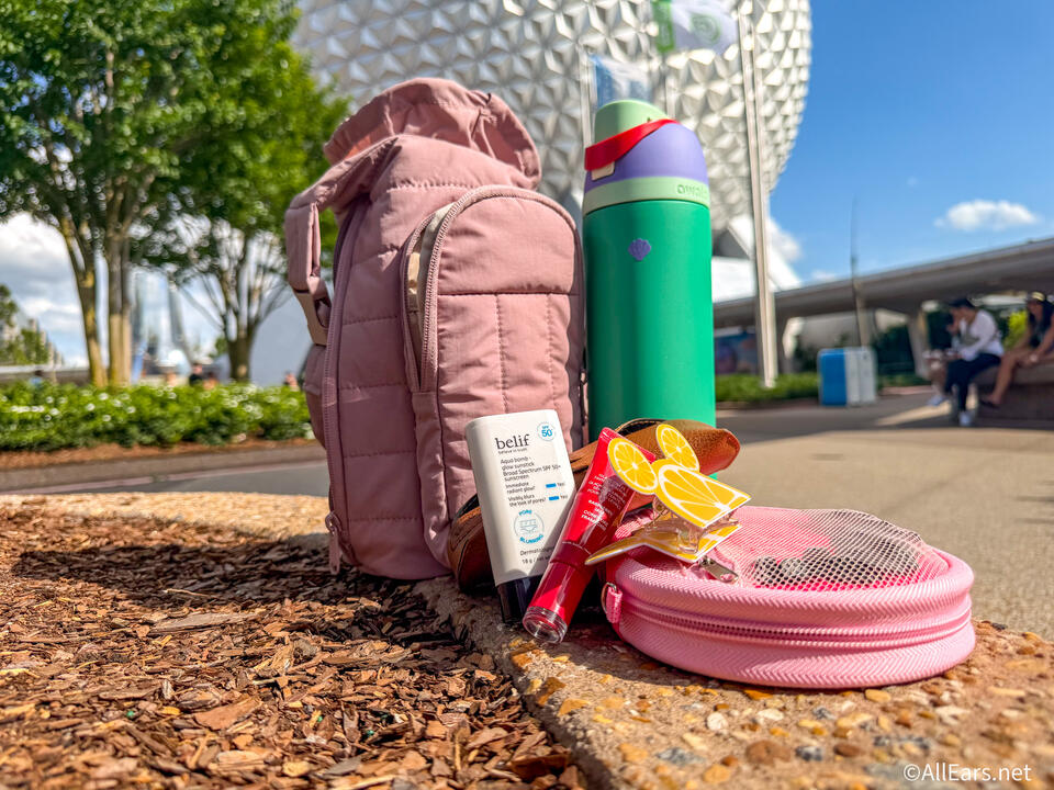 I've Packed a Disney World Park Bag Over 100 Times and These Are the 6 Things I Never Skip