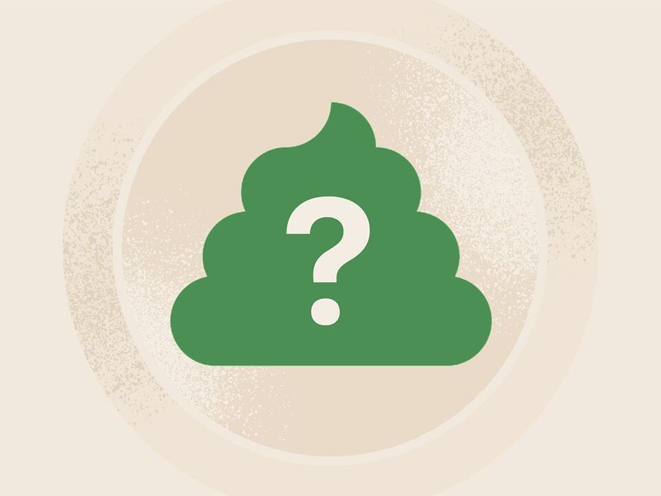 Why Is My Poop Green? Here Are 5 Possible Causes