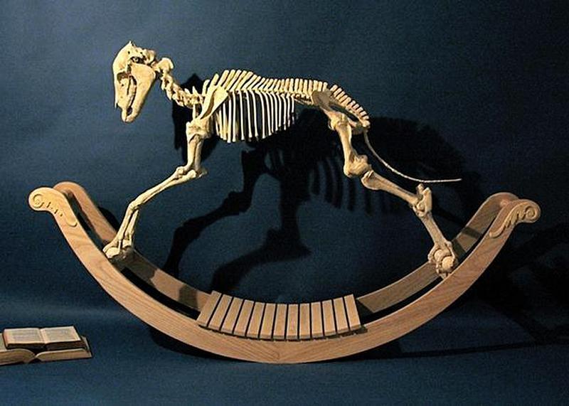 Playing with Bones: Artist blends fact and fiction with ‘ancient ...
