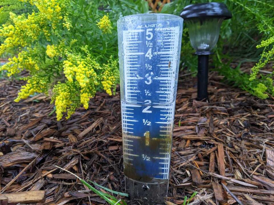 How much rain has fallen so far in Minnesota this week? - NewsBreak