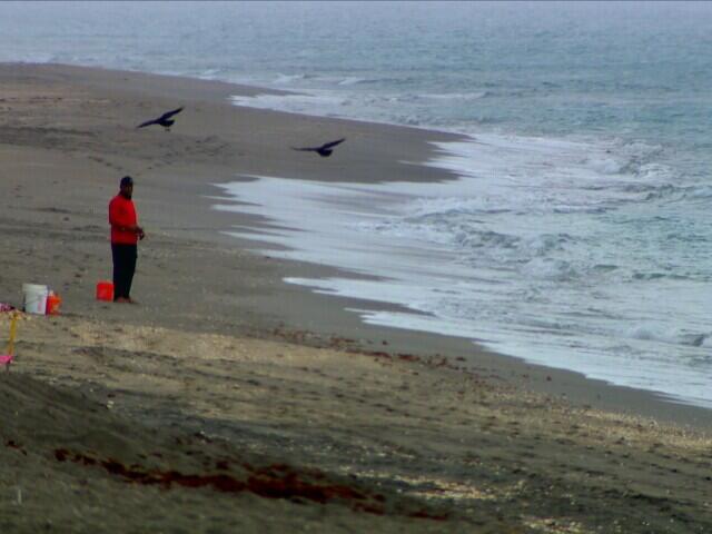 Severe ocean erosion threatens to 'break through' Jupiter Island