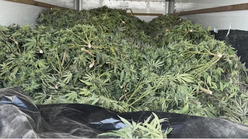 CHP Traffic Stop in Lucerne Valley Uncovers 1,800 Pounds of Illegal ...