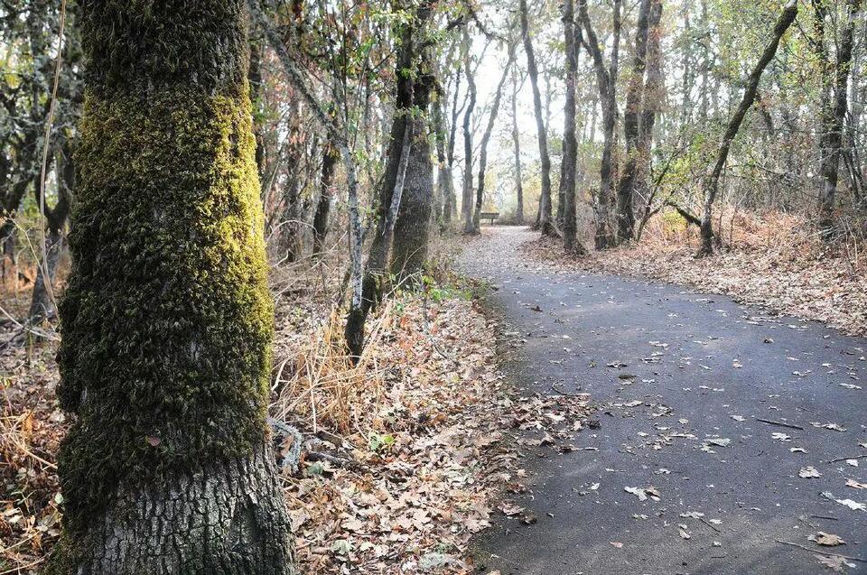 OPINION: Vote yes on Measure 36-241 to keep Yamhelas Westsider Trail ...