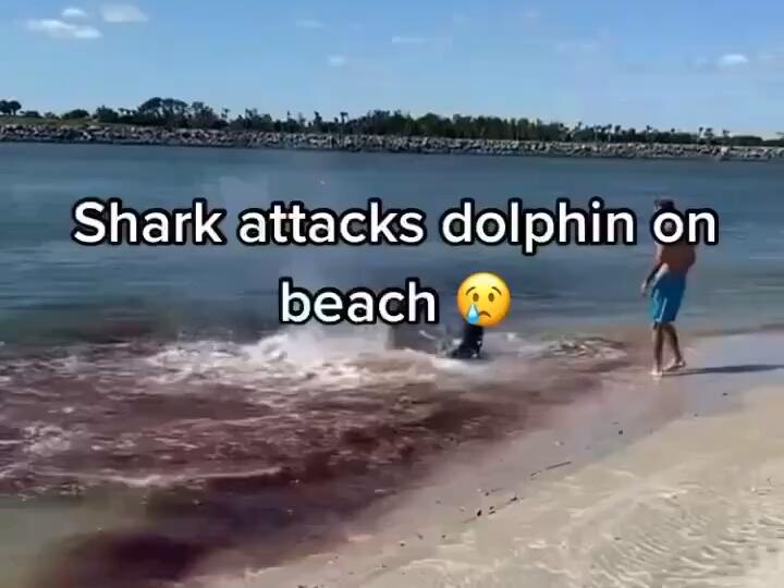 It’s the only thing that we could think of that might have happened… Could have been from a boat