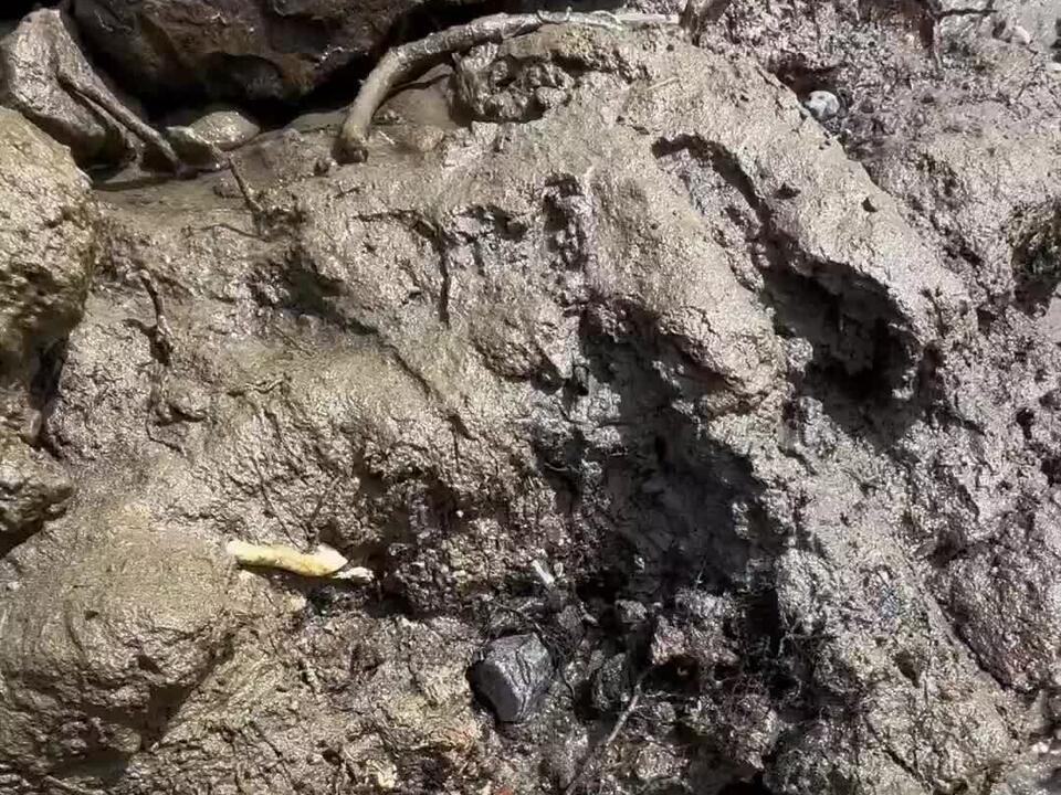 Check out this bottle I found in the mud Dates from 19031907 and is a