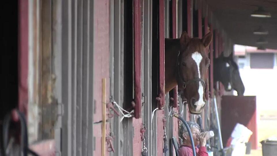 Santa Barbara Equestrian Group Feels Shut Out of Earl Warren ...