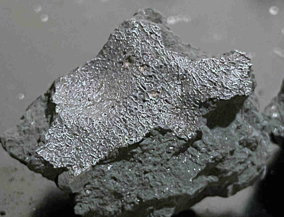 A meteorite crashed through a Hillsborough roof and it may hold clues to life on Earth