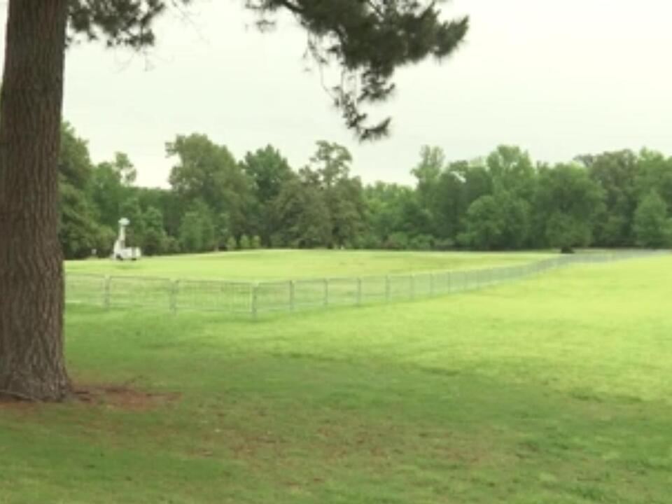 Woman attacked at Overton Park, MPD says