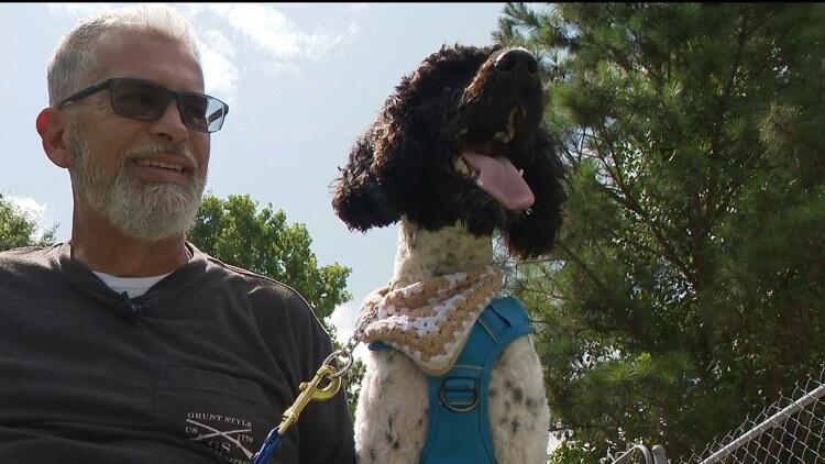 Service dog changes life of veteran - NewsBreak