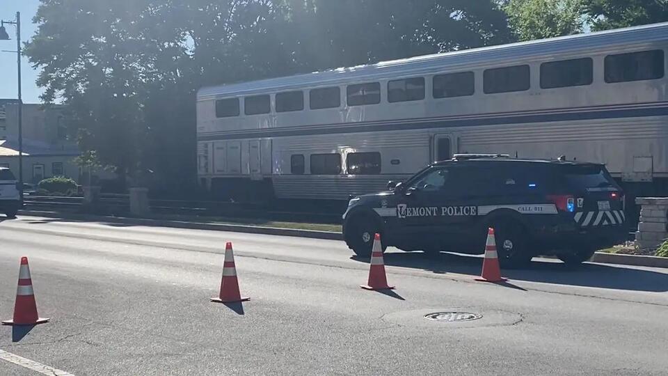 Woman, 47, dies after being struck by Amtrak train in Lemont: police ...