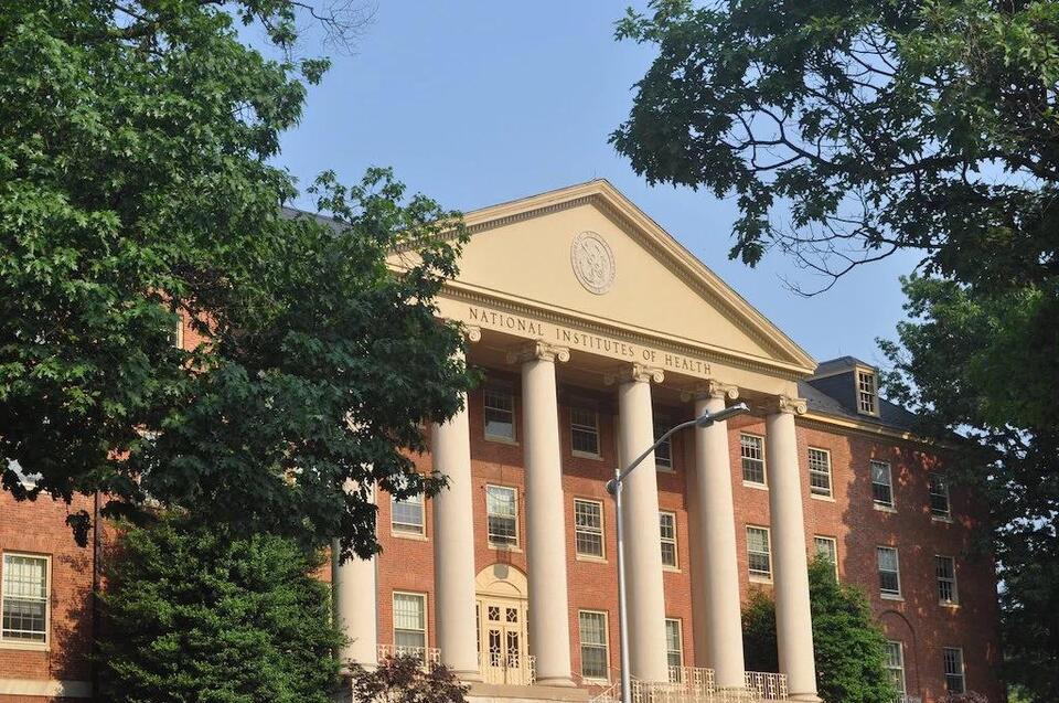 “They Want to Have Their Hands in Everything”: An NIH Insider on How ...