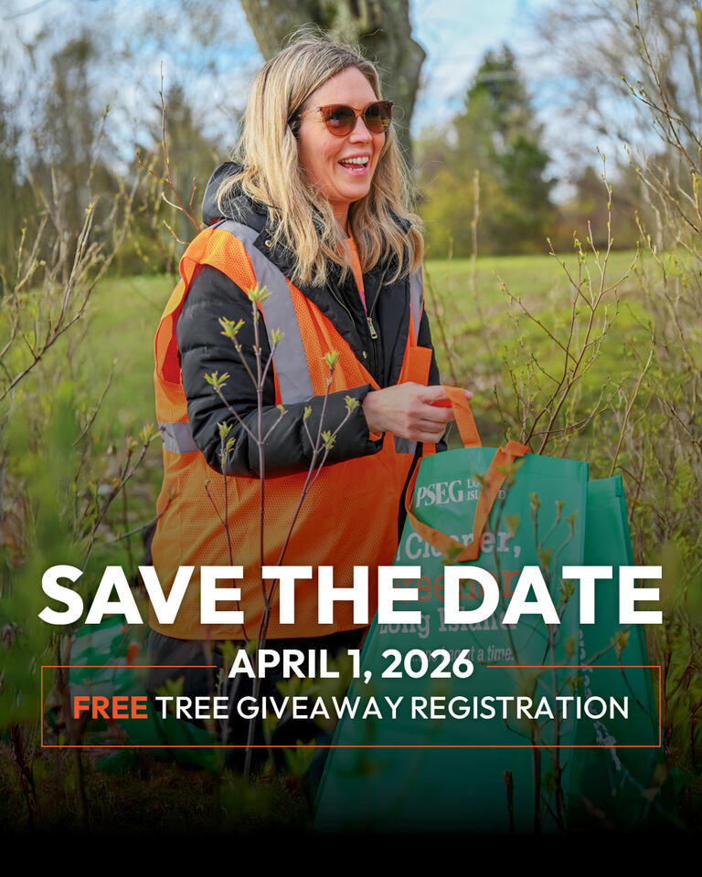 Free Tree Giveaway Registration Opens April 1 - NewsBreak