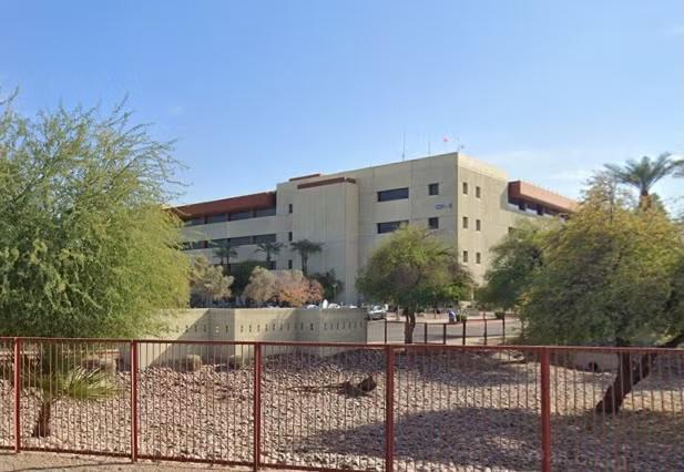 3 hospitalized as massive swarm of bees invades Arizona computer workplace and terrorizes employees