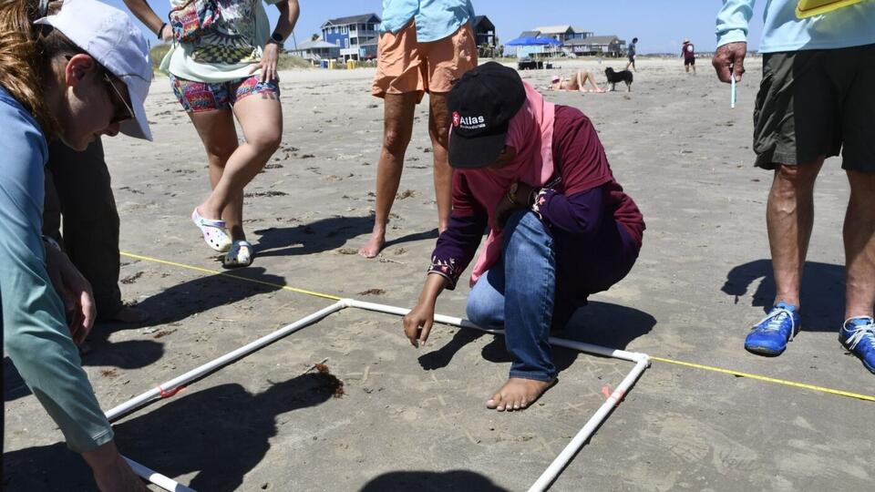 TAMUG Research Workshop Produces Sandy Beach Protocols