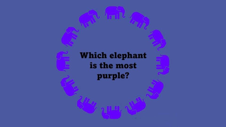 this-viral-elephant-optical-illusion-is-pure-magic-newsbreak