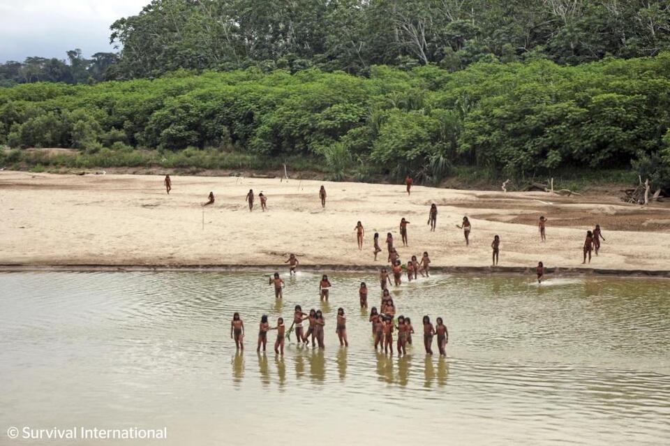 A remote Indigenous tribe kills two loggers encroaching on their land ...