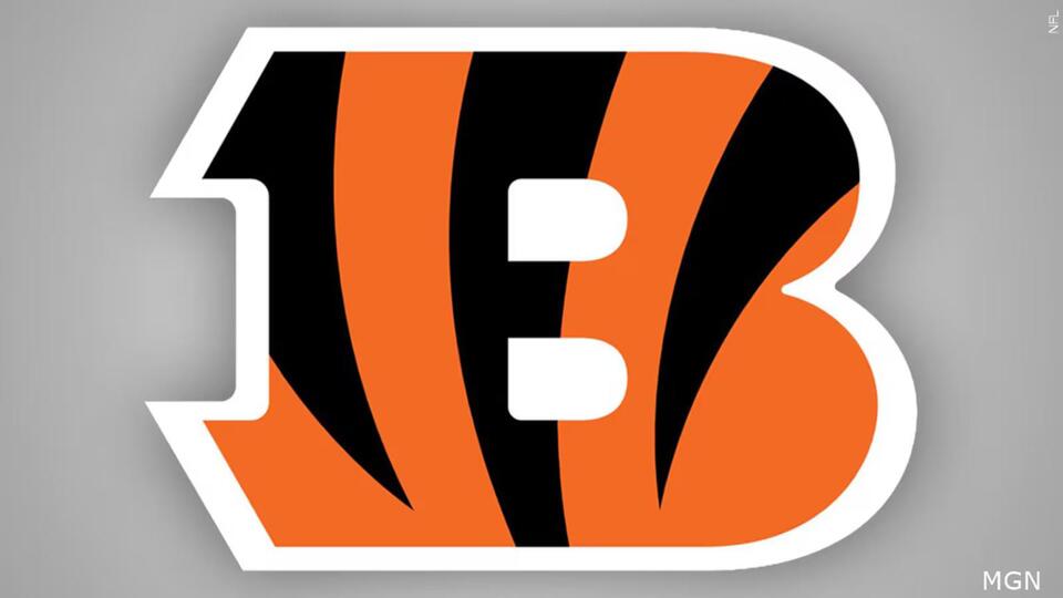 The vision for the Bengals’ pass rush is coming to life