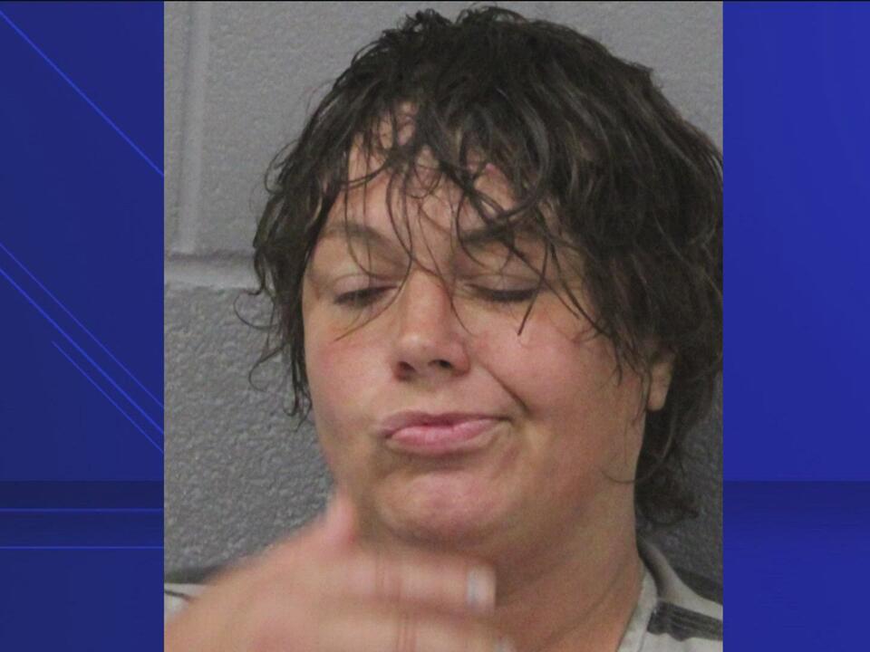 Woman arrested for allegedly trying to kidnap 5-year-old girl in North ...