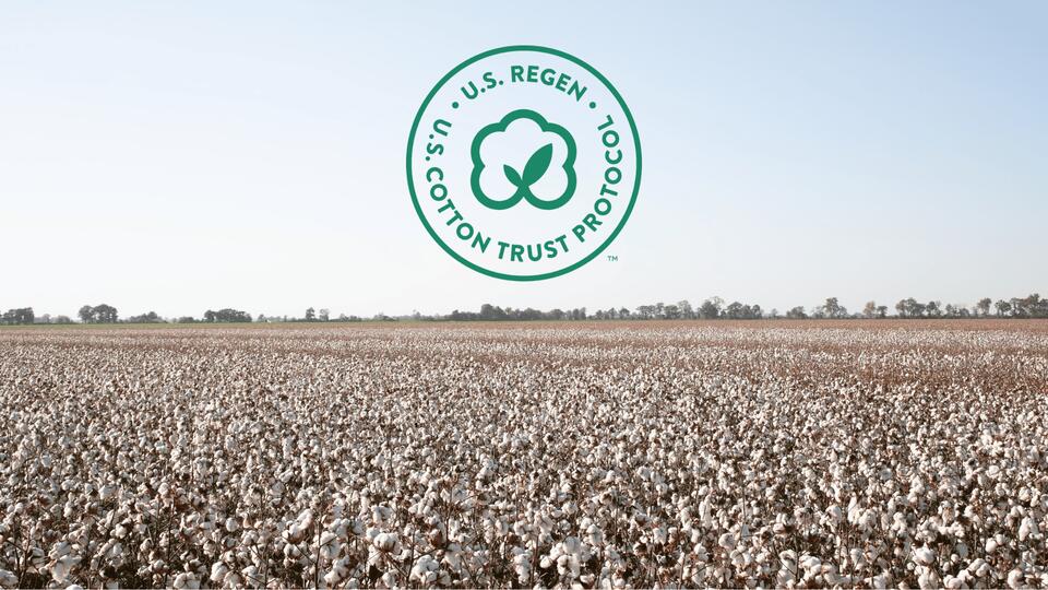 U.S. Cotton Trust Protocol releases first measured outcomes for U.S ...