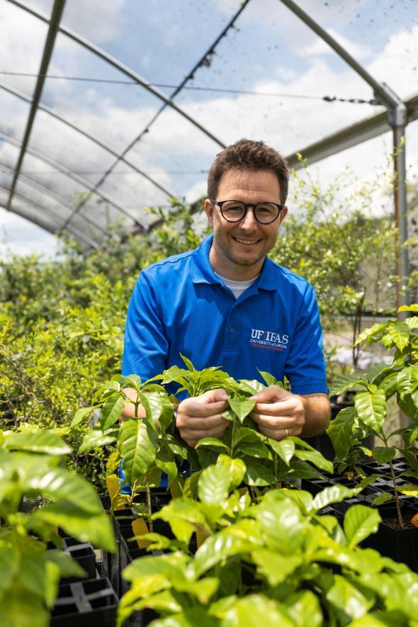 New Study Rates Potential of Coffee as Cash Crop for Florida