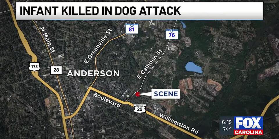 Officials: 5-month-old dies, adult hurt after dog attack in Anderson ...