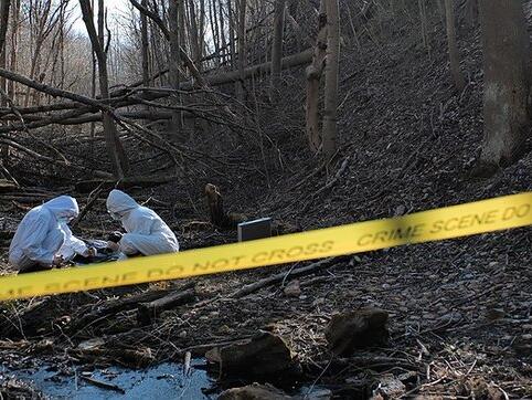 Mystery in the Woods: Human Remains Discovered in Abandoned Encampment