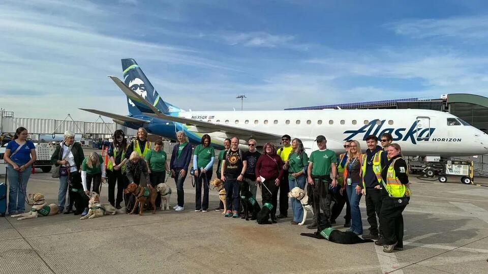 Guide Dogs for the Blind puppies train with raisers at Eugene Airport ...
