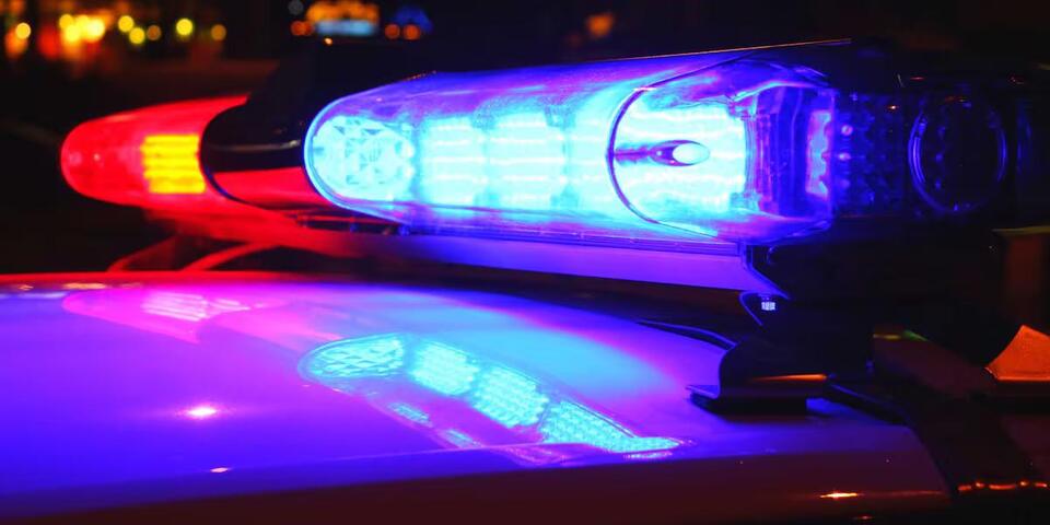 Two men face felony charges after separate incidents at Penguin Park ...