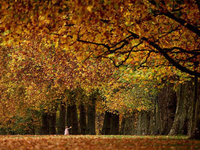 Ganado Daily Weather Forecast