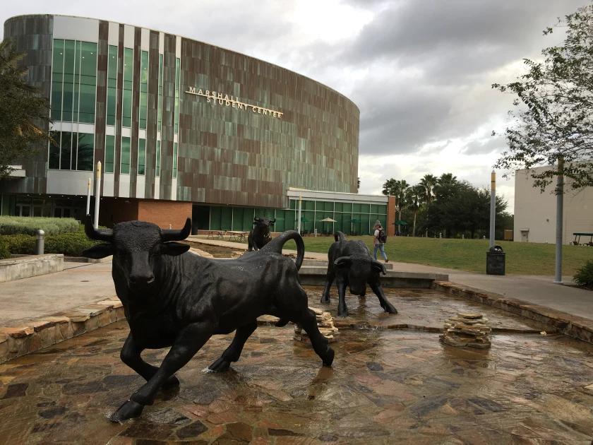 USF takes early steps toward 200 million research facility