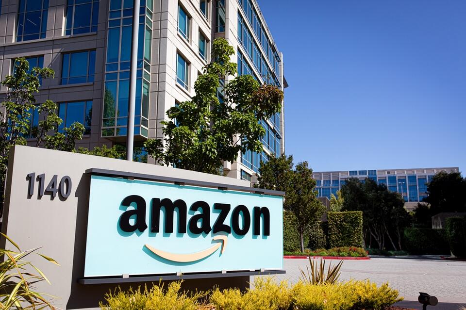 Amazon Ladder Injury Lawsuit Alleges Defective Safety Locks Caused Fall ...