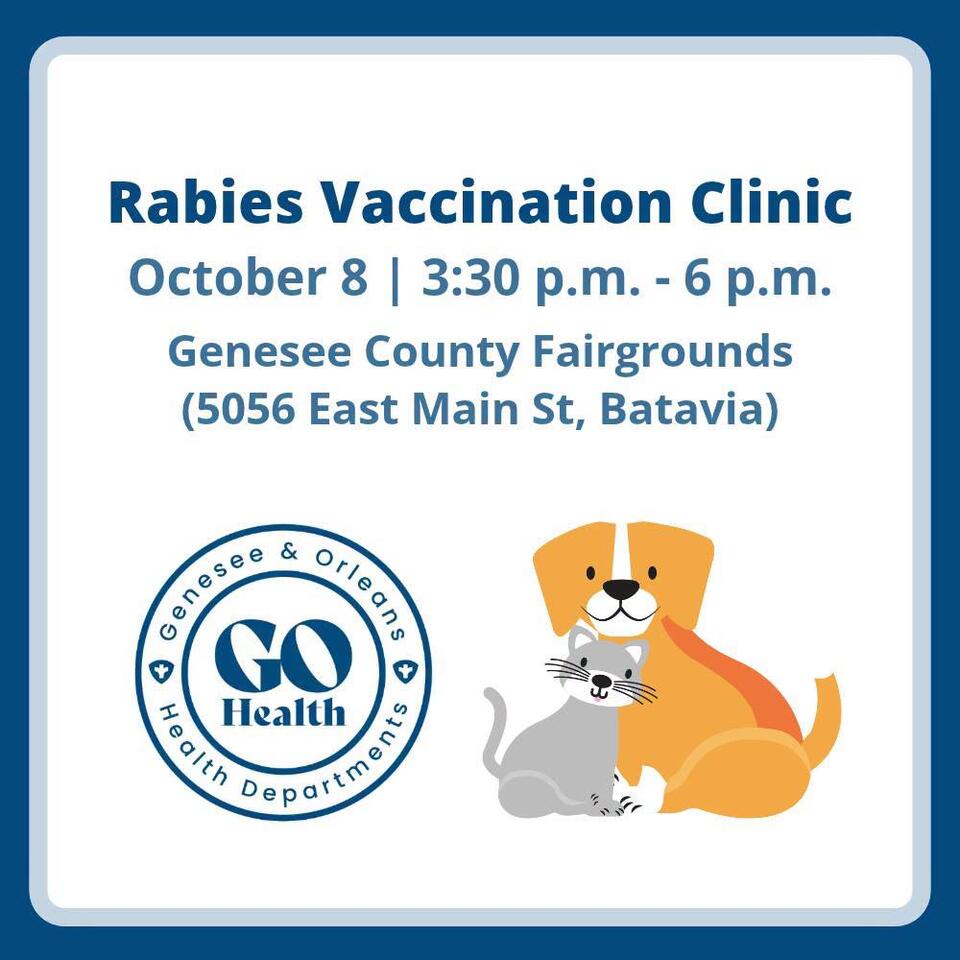 Free rabies clinic for pets at fairgrounds - NewsBreak