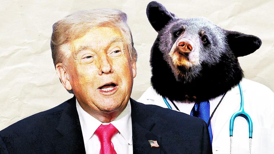 Trump, 79, Flexes Cognitive Skills With Bonkers Bear Brag - NewsBreak