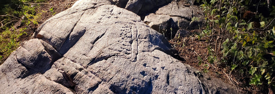 Mystery of Strange Canadian Rock Carvings Solved - NewsBreak