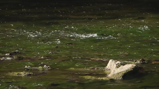 ‘First and foremost, this is a safety concern’: Environmental expert ...