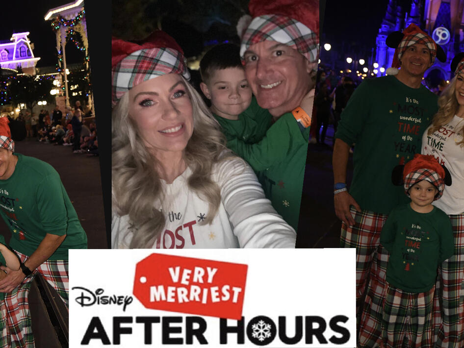 Disney's Very Merriest After Hours Worth the Money? DVC Fireworks