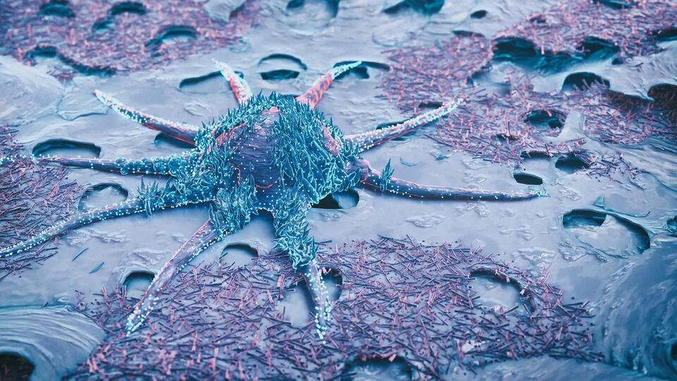 Blocking Immune Cell Signals Could Make Brain Tumor Removal Easier ...