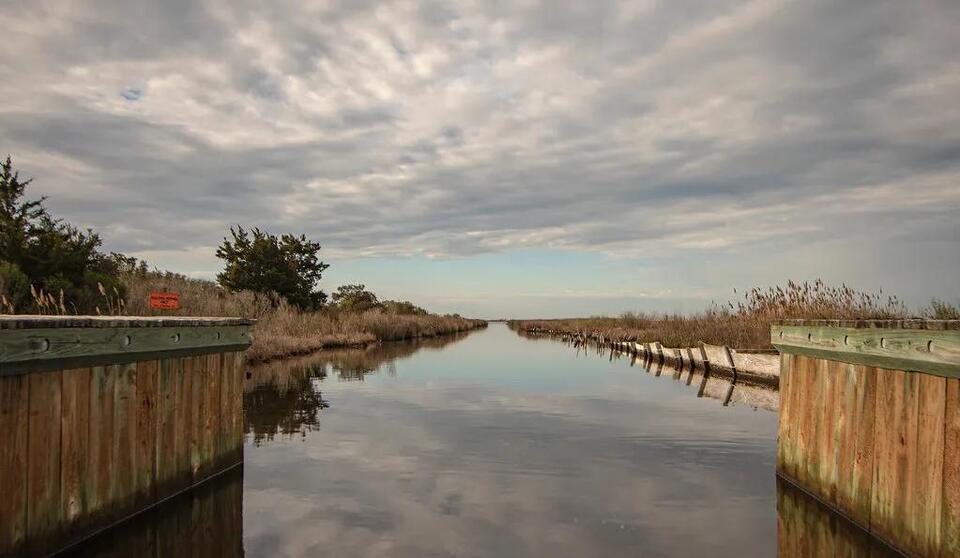 Maryland’s Wildlife Management Areas Open for Hunting, Hiking, and More ...