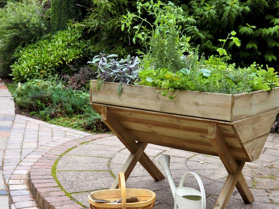 Herbs that grow well together 16 planting combinations for a healthy