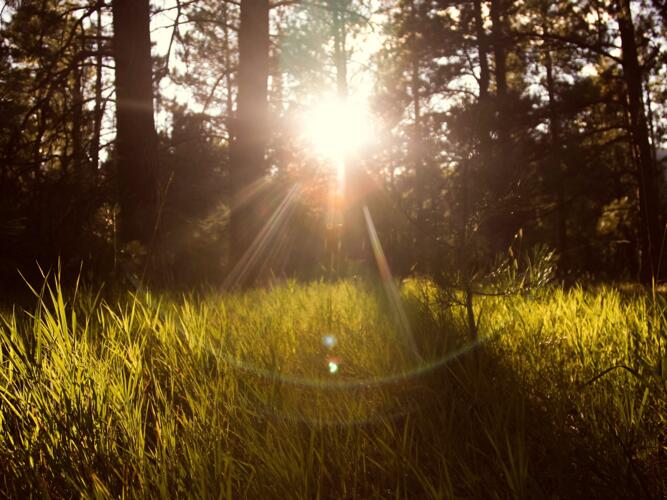 Monday sun alert in Royston — 3 ways to take advantage of it