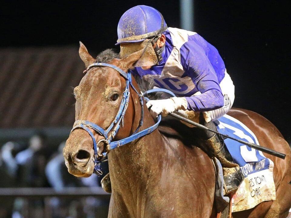 Charles Town picks and analysis May 25, 2024