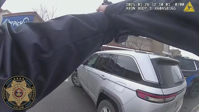 Douglas County Sheriff's deputies block stolen car from striking ...