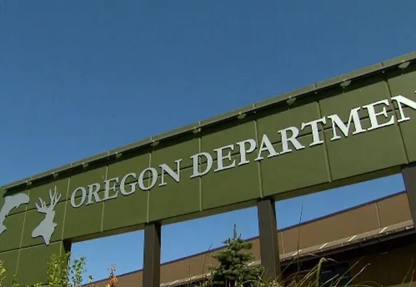 Oregon Fish and Wildlife Commission adopts changes to sea urchin ...