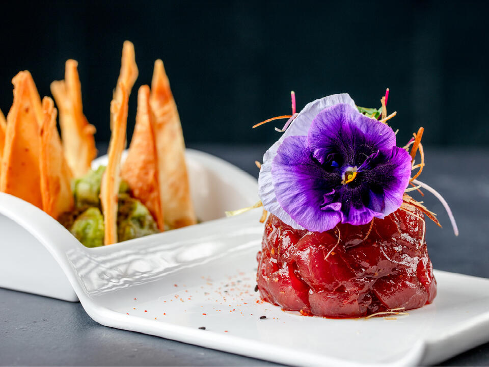 Pubbelly Sushi, El Camino among five Restaurant Row spots in Boca Raton