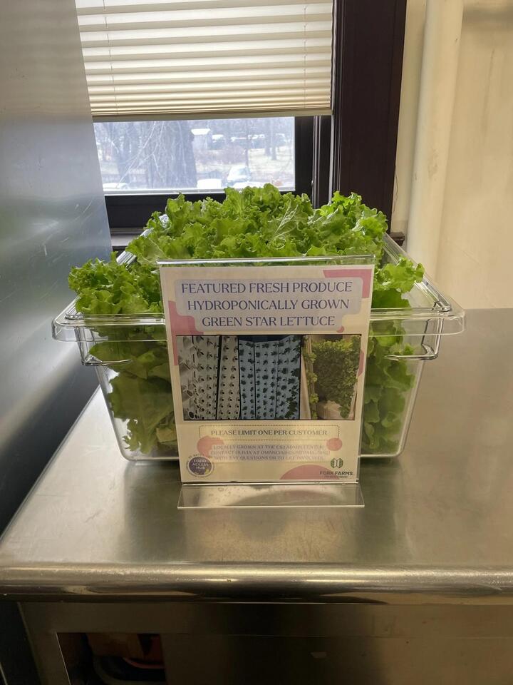 Reducing food waste and increasing sustainability: The CSJ hydroponic ...