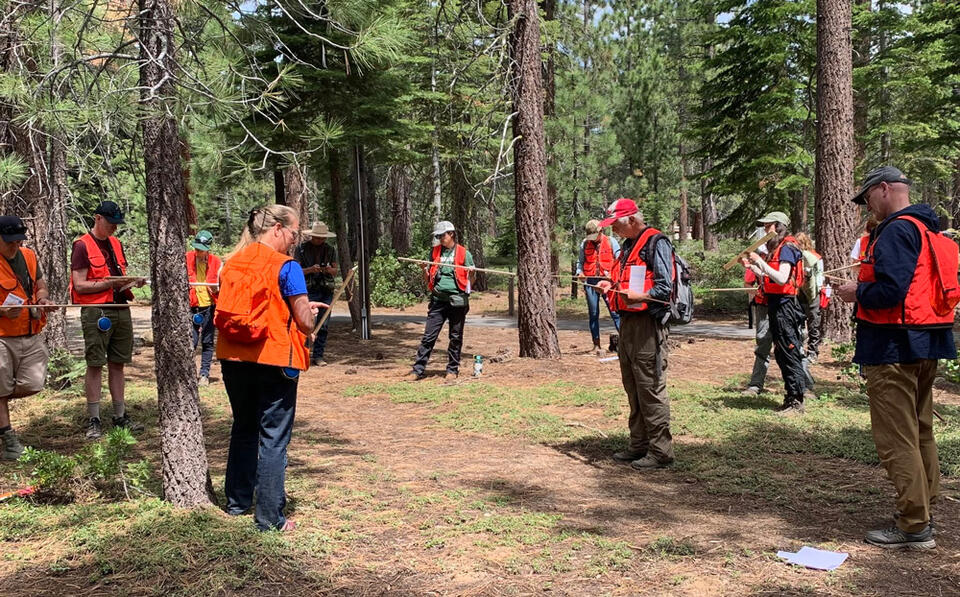 UC Cooperative Extension Holding Forest Stewardship Workshop Series Beginning August 4th
