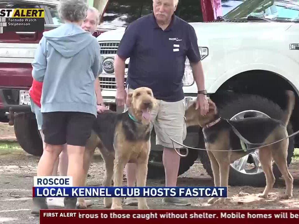Janesville Beloit Kennel Club holds Fast CAT event for area dogs
